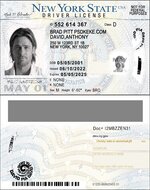New York Driver License new vector quality.jpg